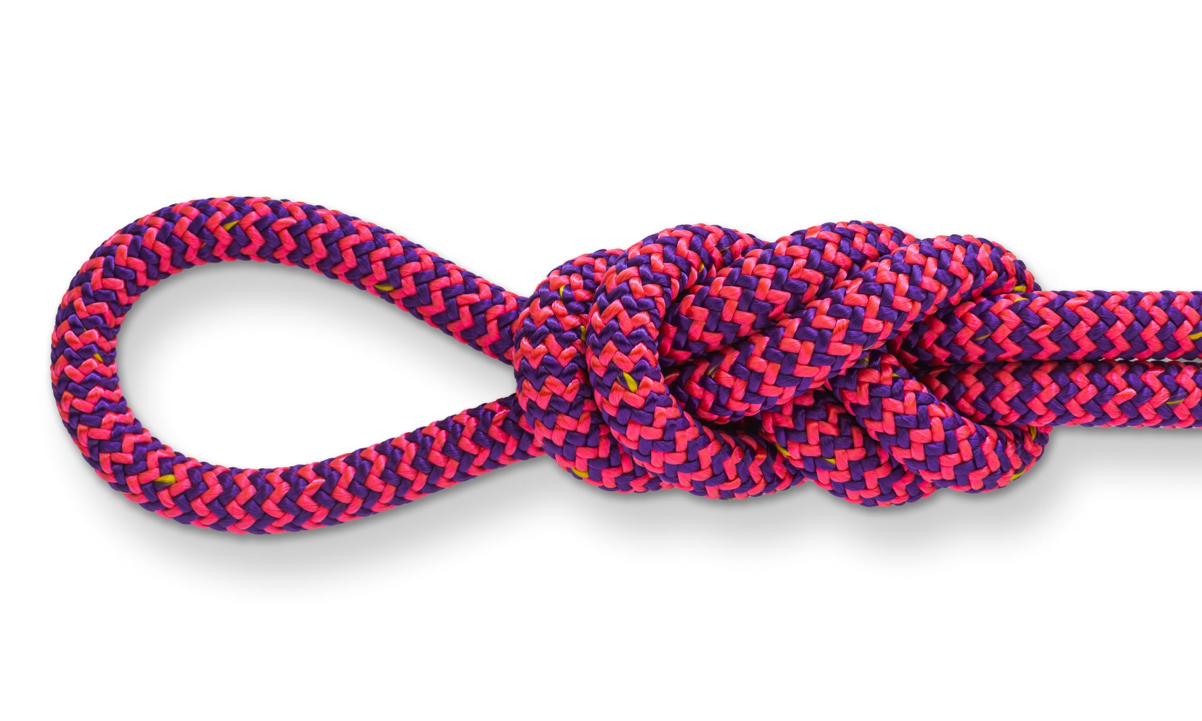 Dog Leash Kit