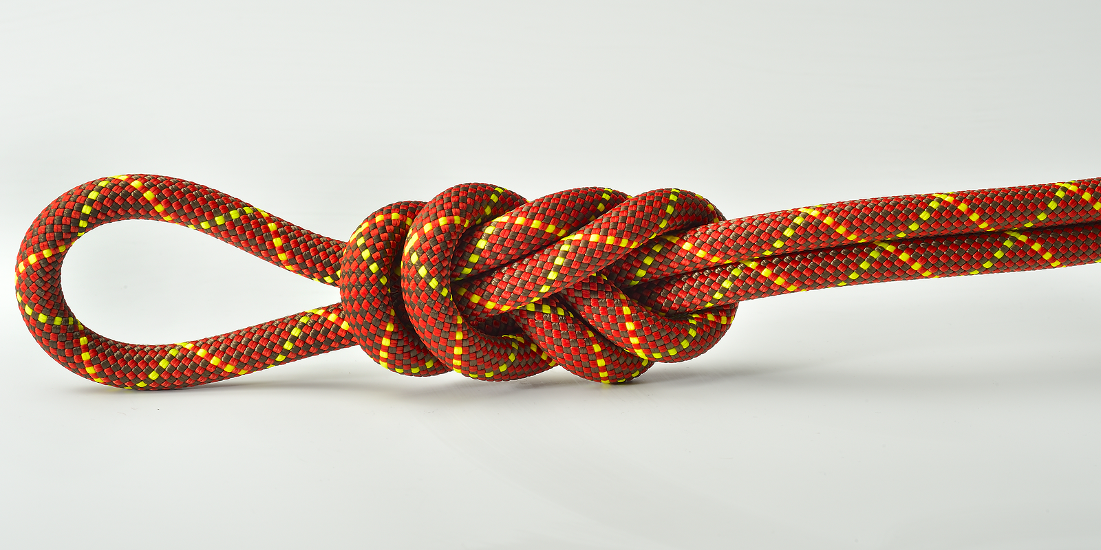 Dog Leash Kit
